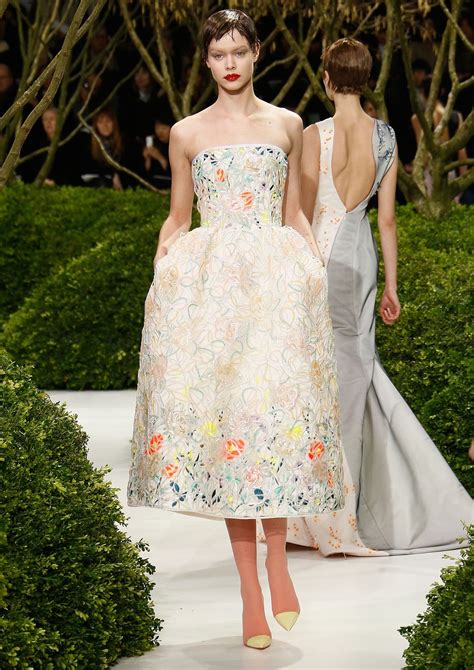 dior 2013 spring behind|christian Dior dresses 2013.